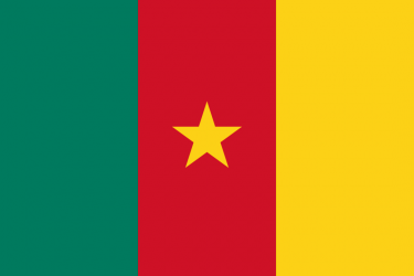 Cameroon flag