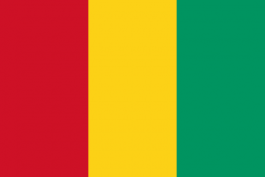 Guinea flag