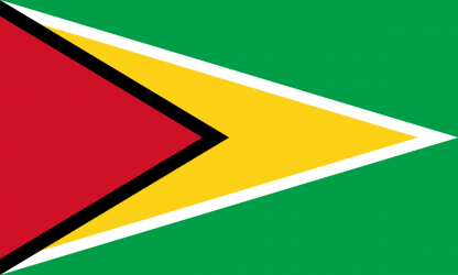 Guyana flag