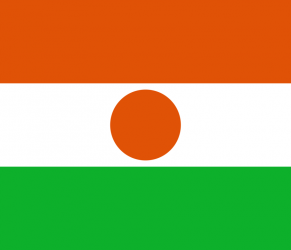 Niger flag