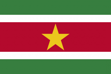 Suriname flag