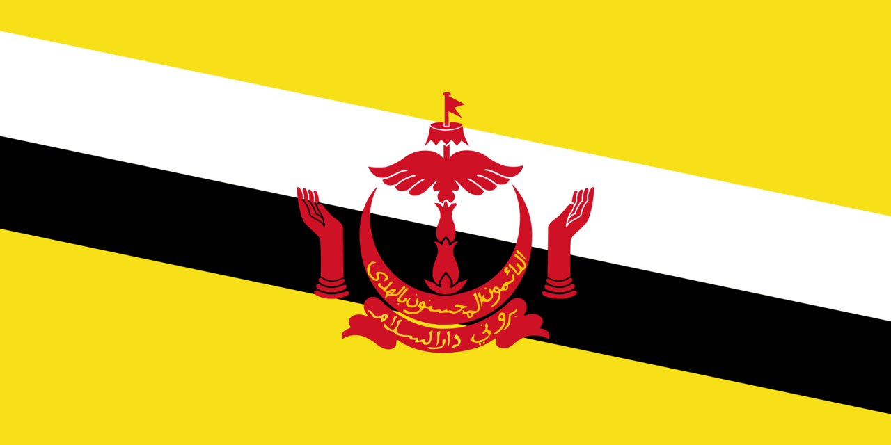 Brunei flag icon