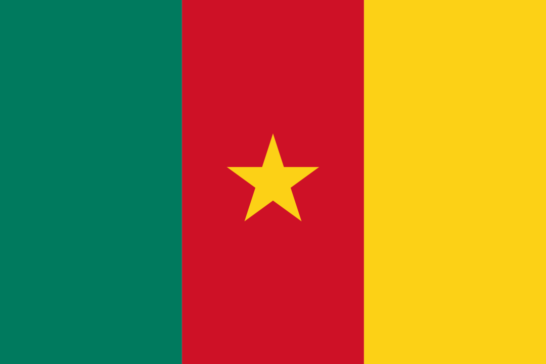 Cameroon flag icon