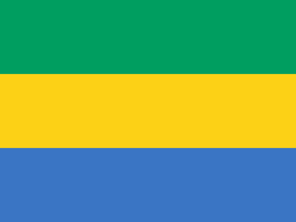 Gabon flag icon