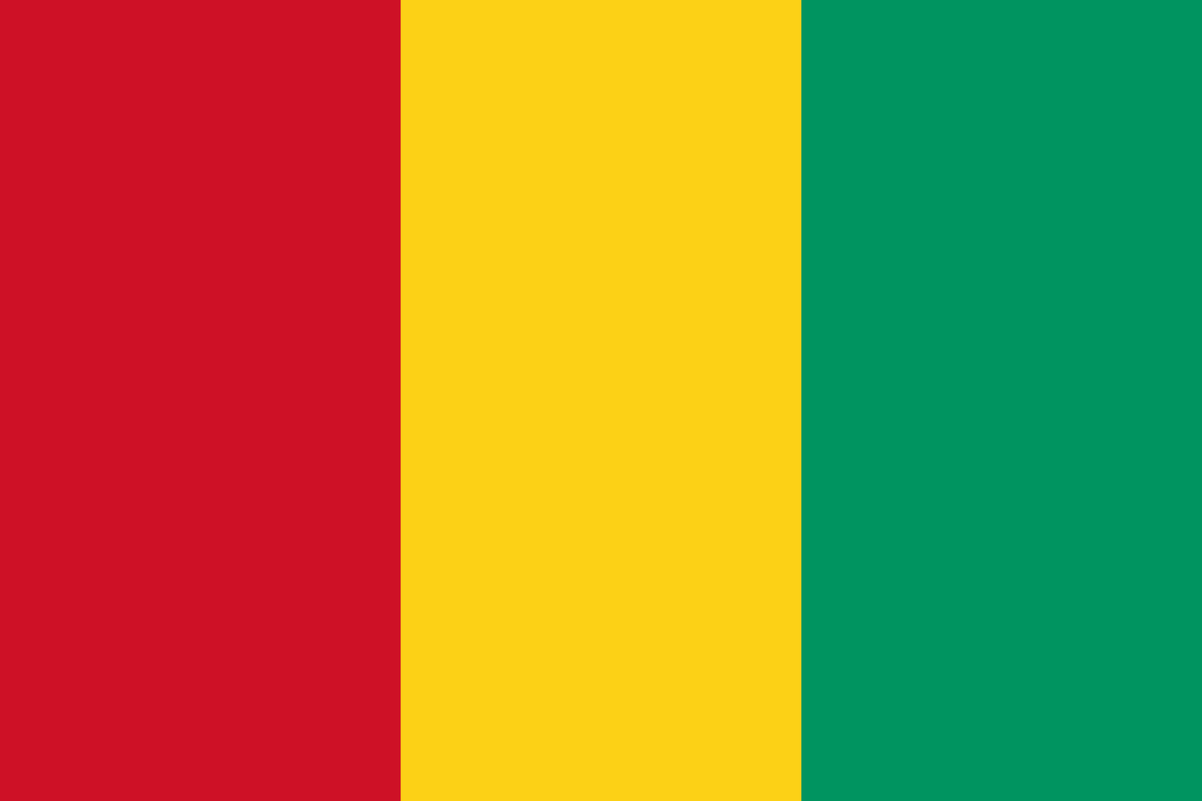 Guinea flag icon