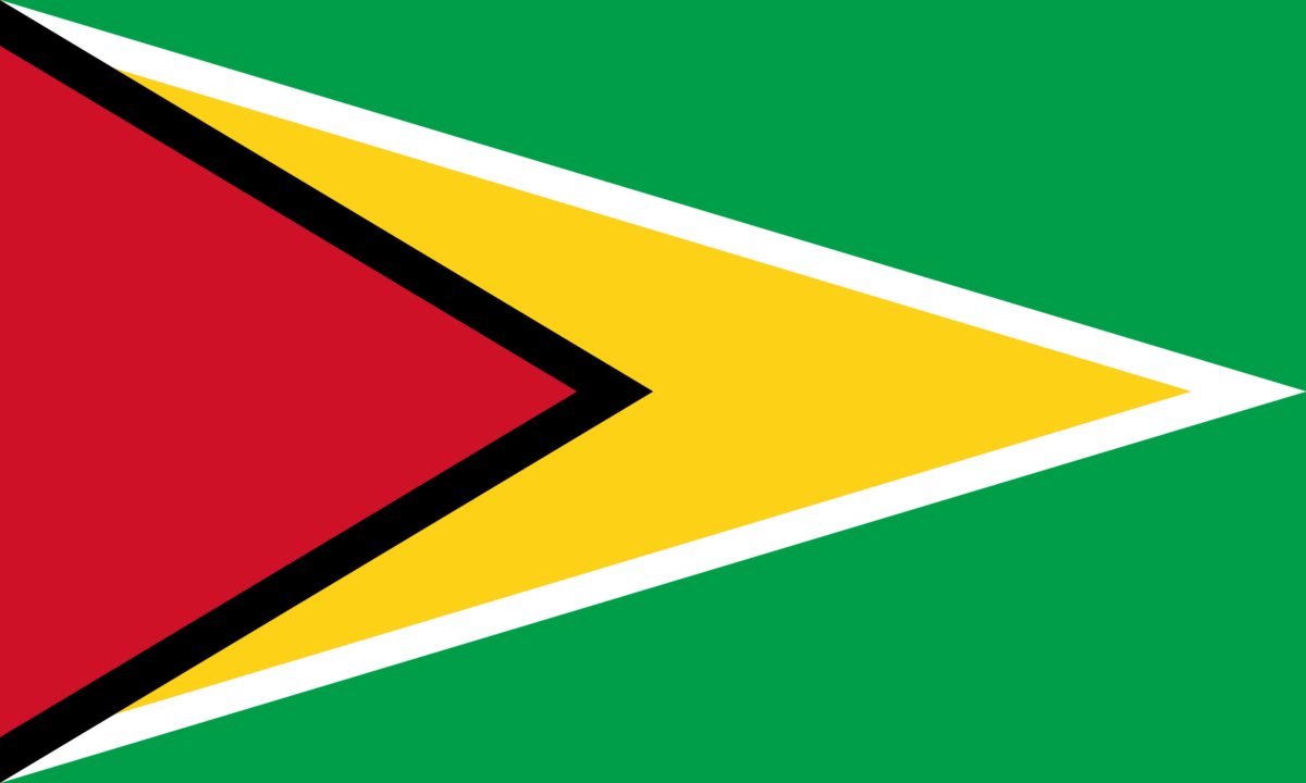 Guyana flag icon