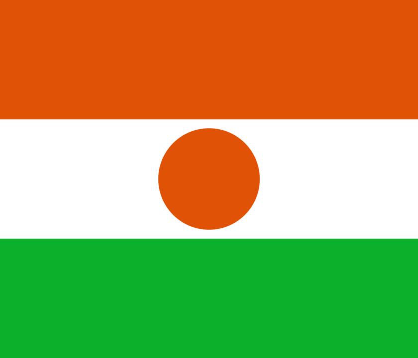 Niger flag icon
