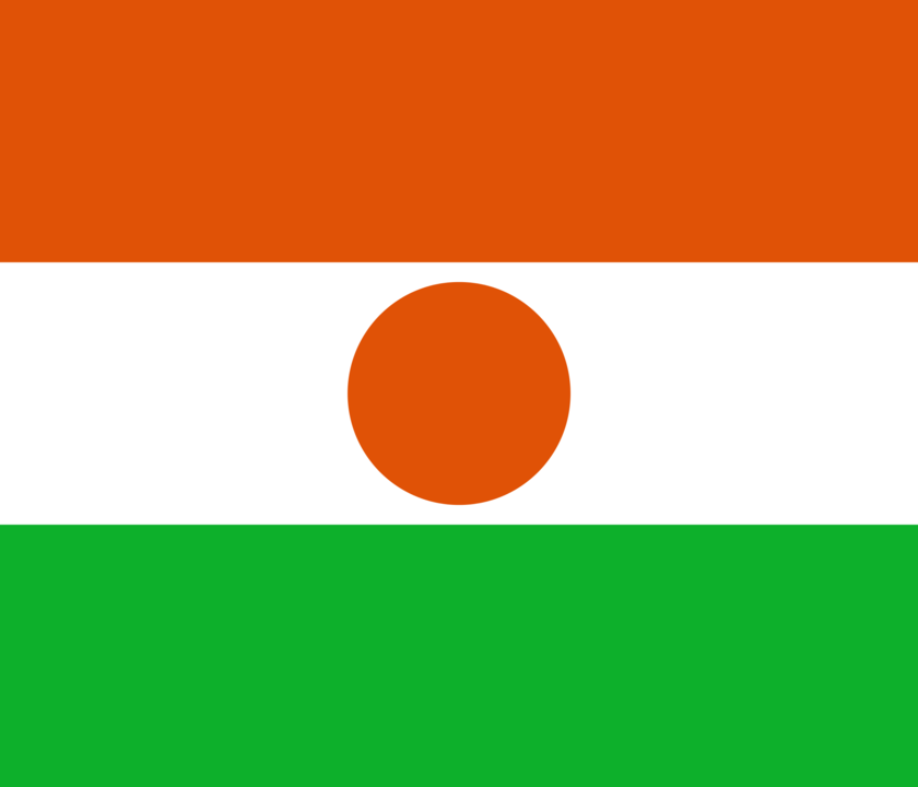 Niger flag icon