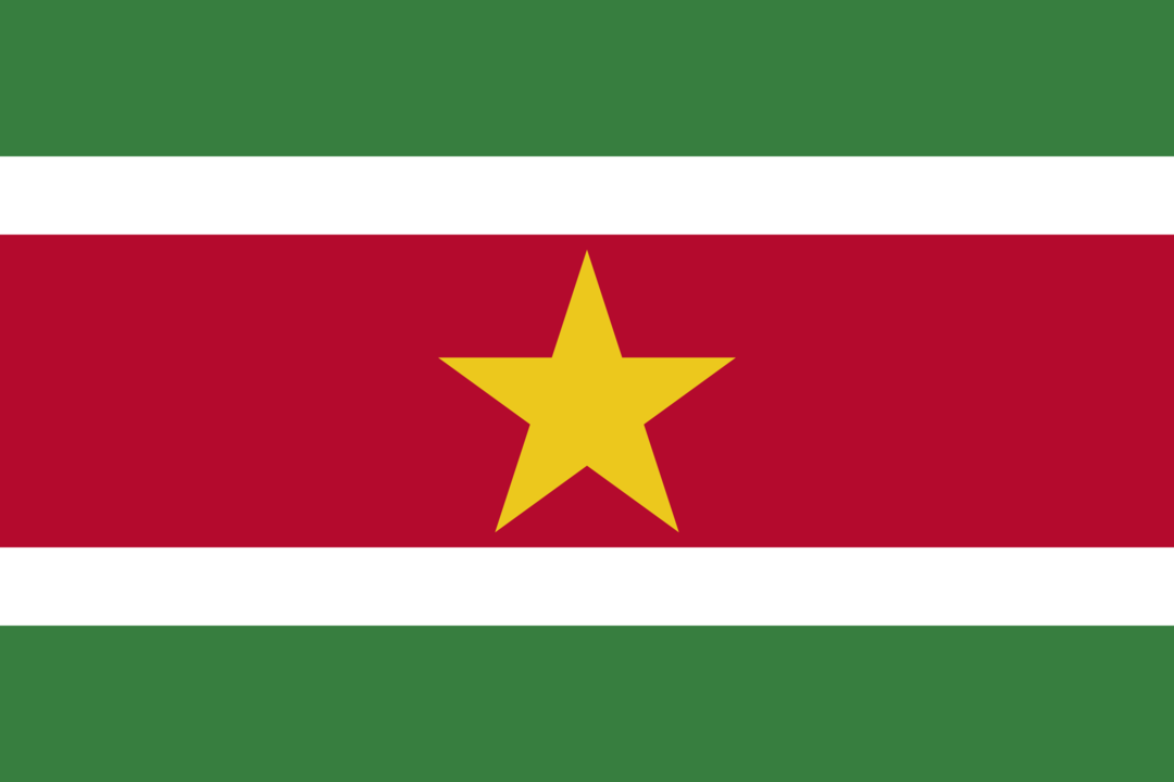 Suriname flag icon