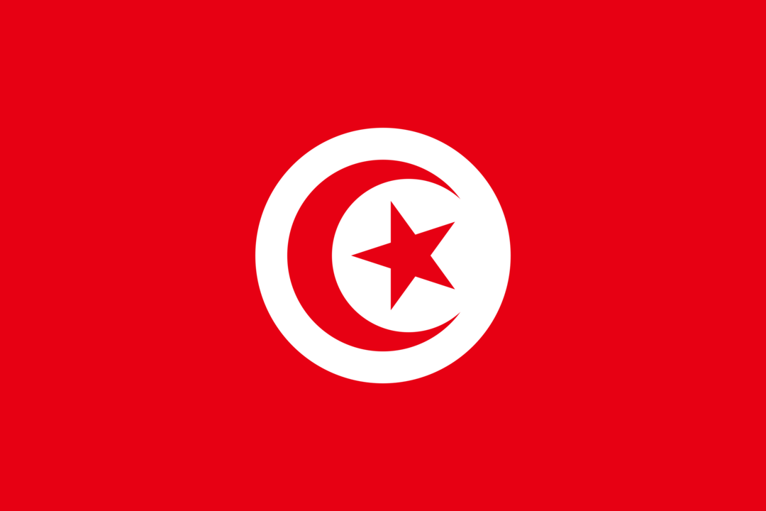Tunisia flag icon